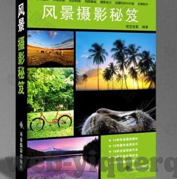 中文字幕乱偷在线视频-揭秘网络迷雾,中文字幕与在线视频的偷窥现象